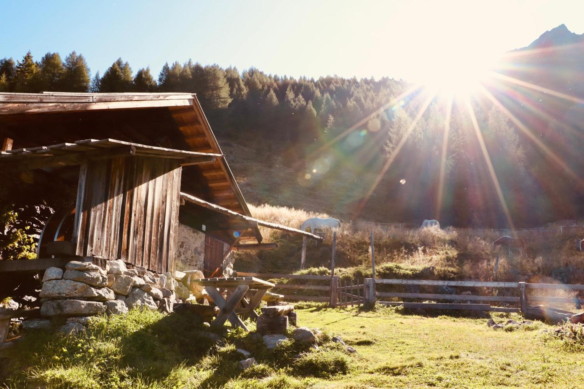 Landhaus Sonnrain Фендельс Екстер'єр фото